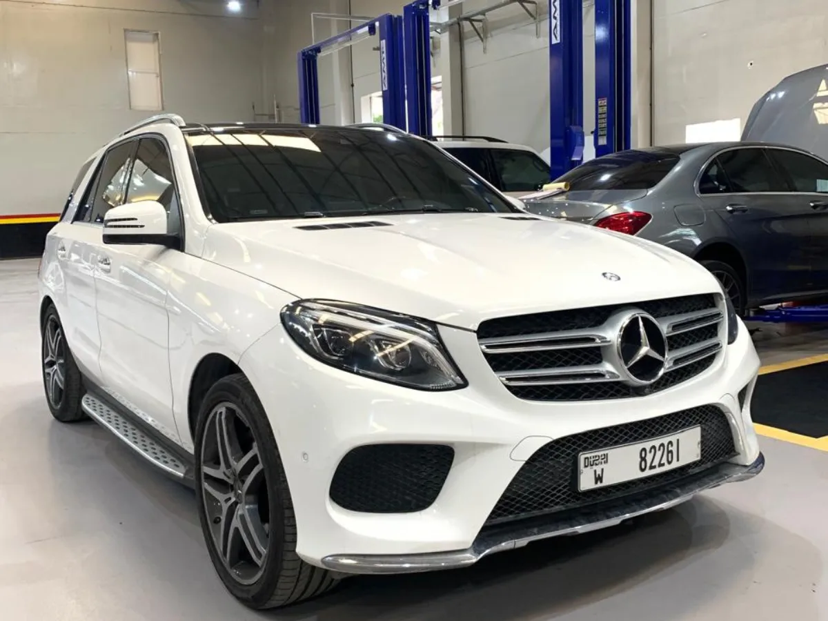 800Sayara car service workshop