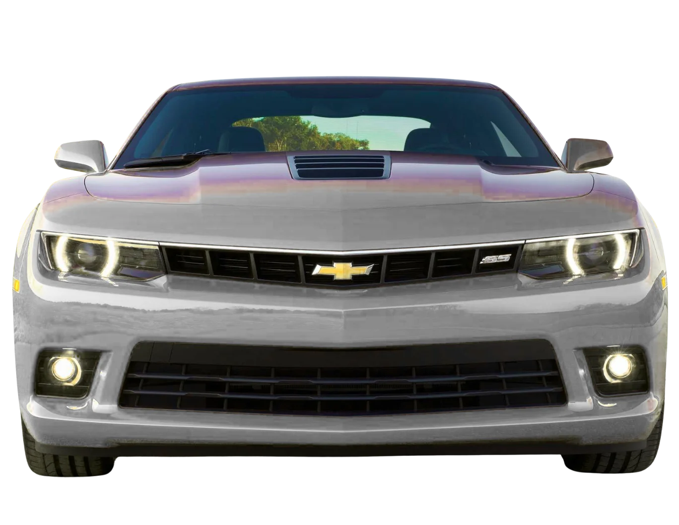 800Sayara for Camaro Garage in Dubai